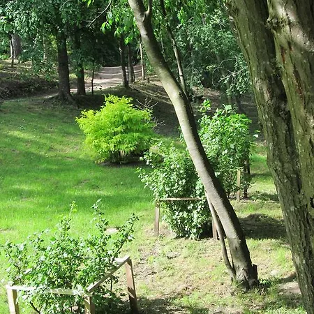 Summerhome *